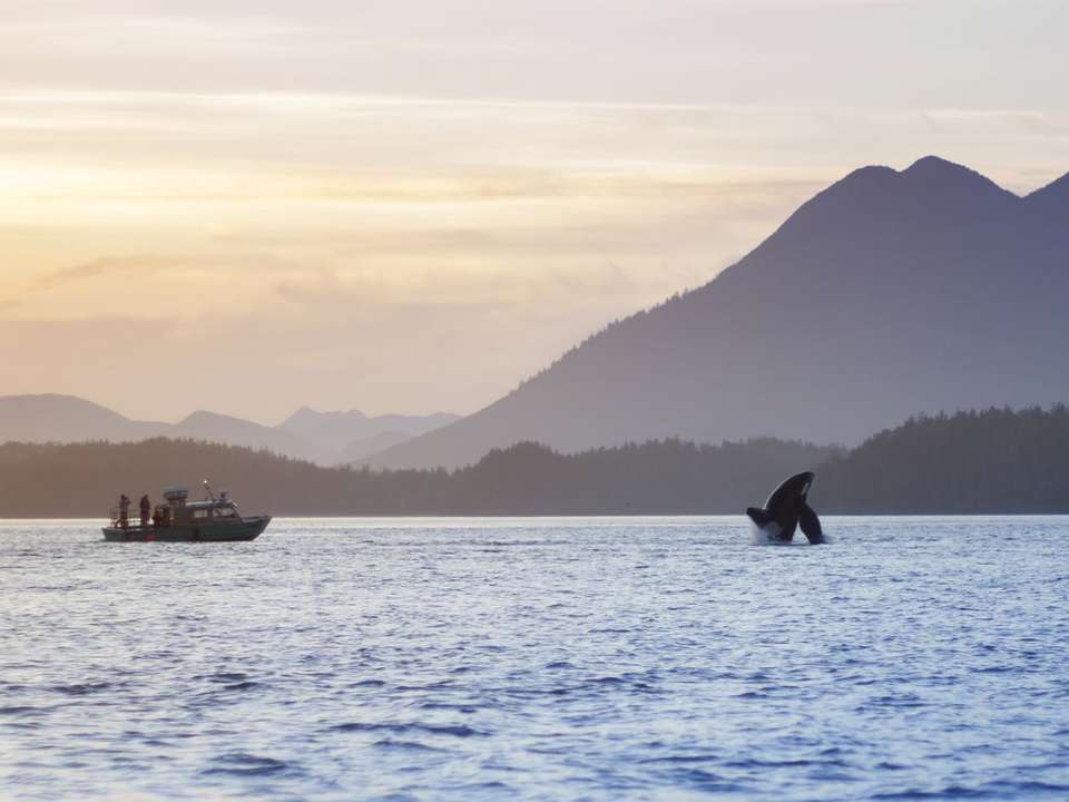 Vancouver Island Discovery - 8 days - On The Go Tours - Canada - Image 4