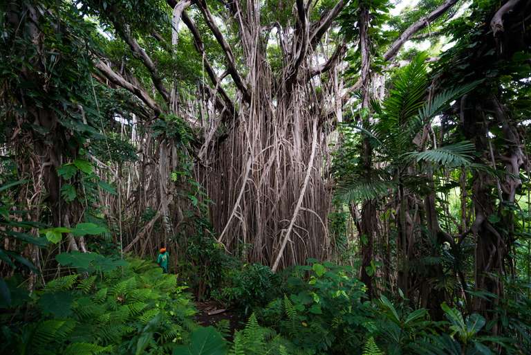 Vanuatu & Fiji Adventure trip - alternative tour available
