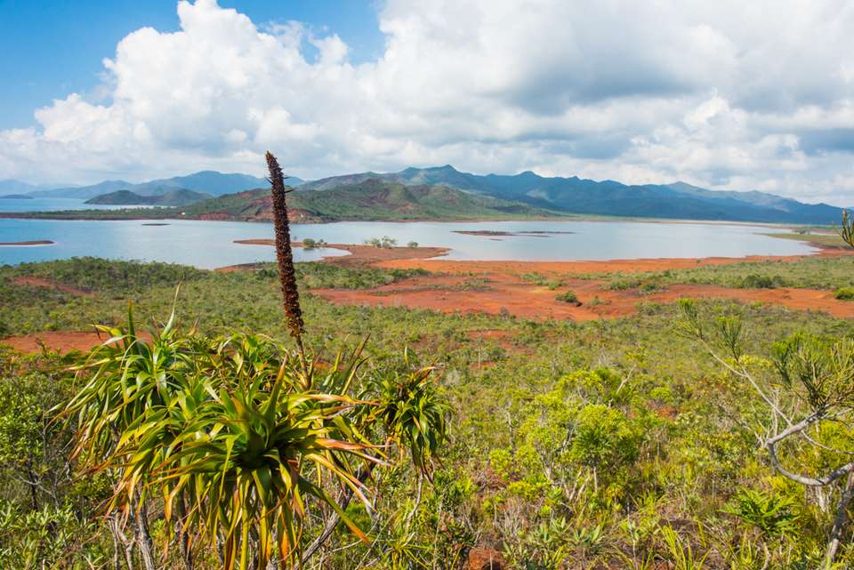 Vanuatu & New Caledonia Adventure - undefined - Image 1