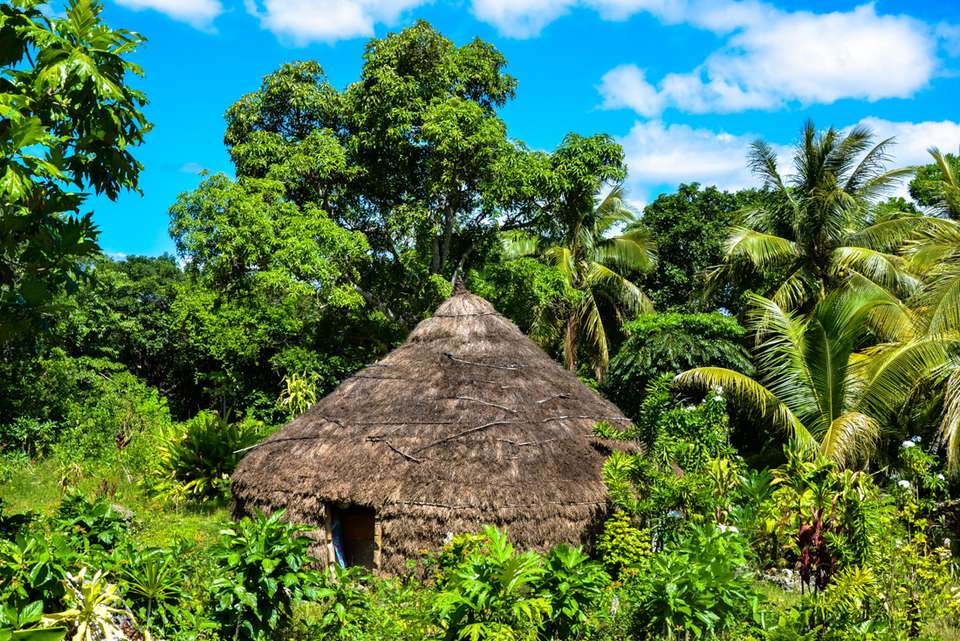Vanuatu & New Caledonia Adventure - undefined - Image 4