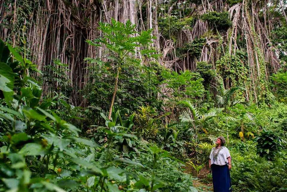Vanuatu Expedition - Intrepid Travel - Vanuata - Image 1