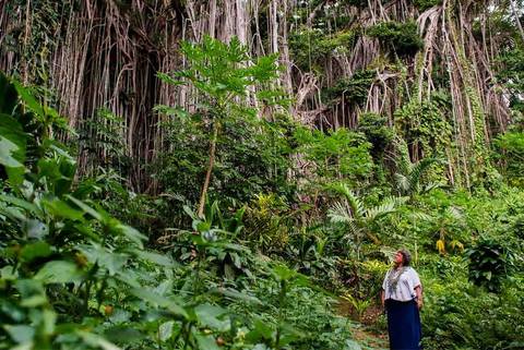 Beach Tour: Vanuatu Expedition
