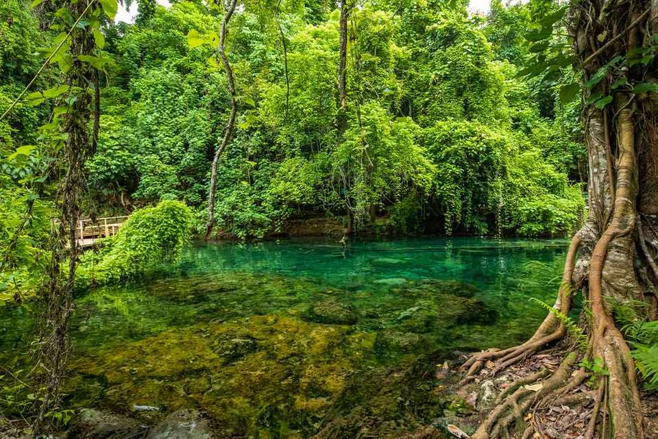 Vanuatu Expedition - Intrepid Travel - Vanuata - Image 3