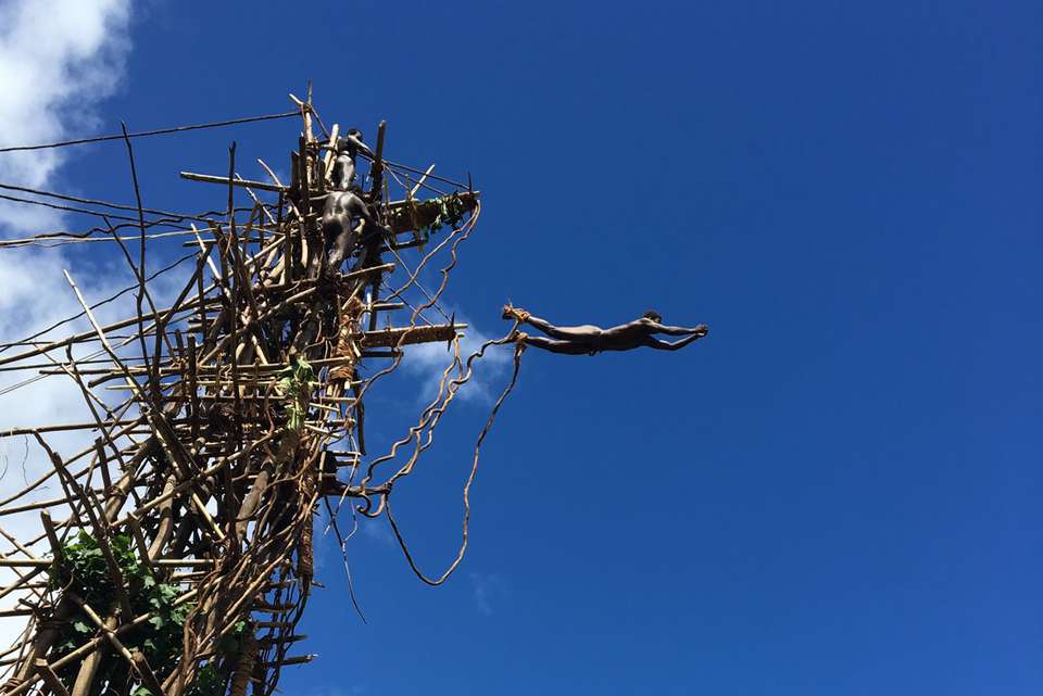 Vanuatu Expedition & Land Diving Festival - undefined - Image 1