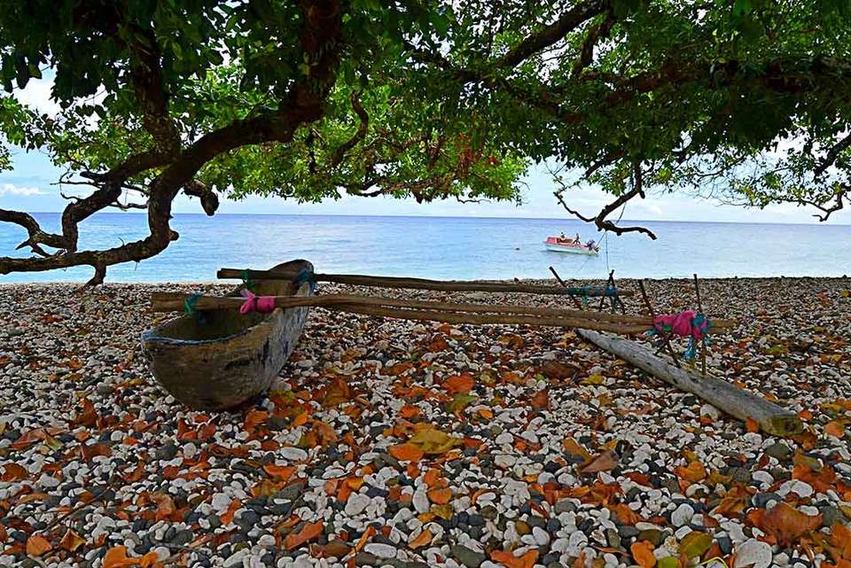 Vanuatu Expedition & Land Diving Festival - undefined - Image 6