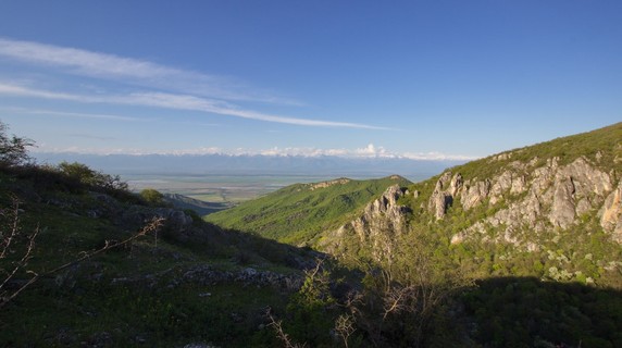 Image 2 of 3