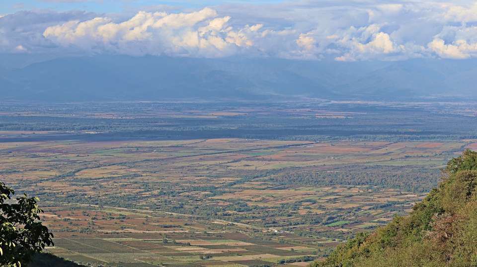 Vashlovani & Signagi Day Tour - Highlander Travel - Georgia - Image 3