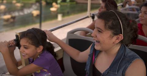 Vegas Classic Ticket - Sightseeing Bus Tour - September 2027