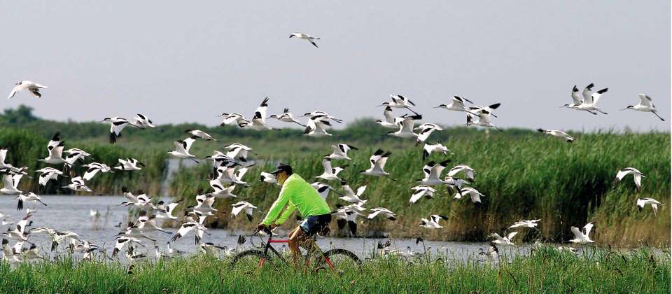 Veneto Bike & Boat - Utracks - Italy - Image 6