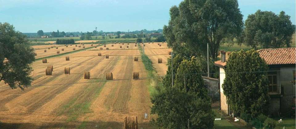 Venice to Florence Cycle - Utracks - Italy - Image 6