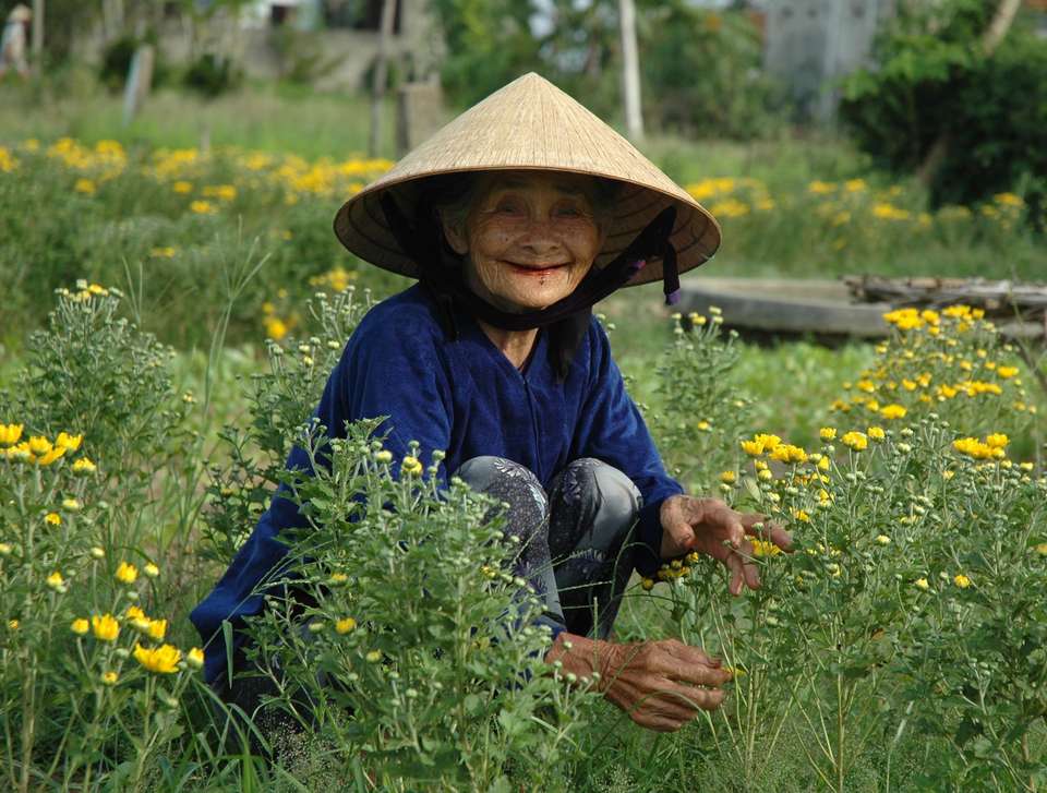 Very Vietnam (Partially Guided) - 10 days - On The Go Tours - Vietnam - Image 5