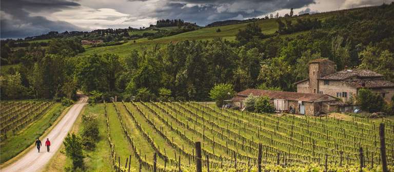 Via Francigena: Best of Tuscany trip - alternative tour available