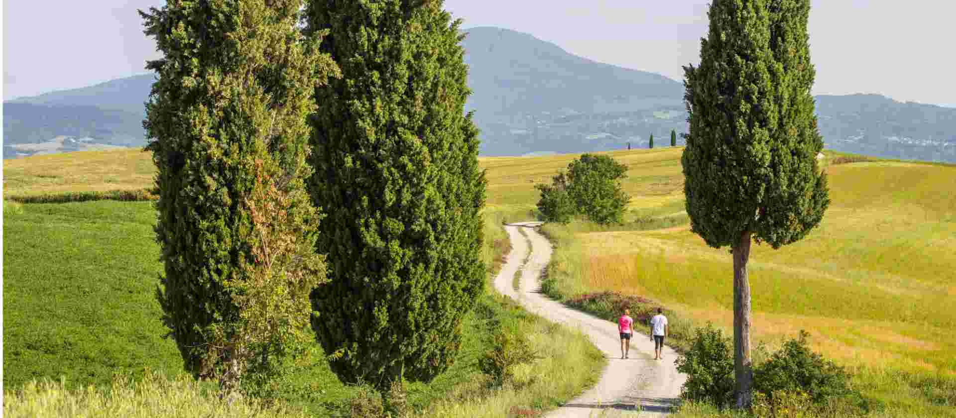 Via Francigena: Best of Tuscany