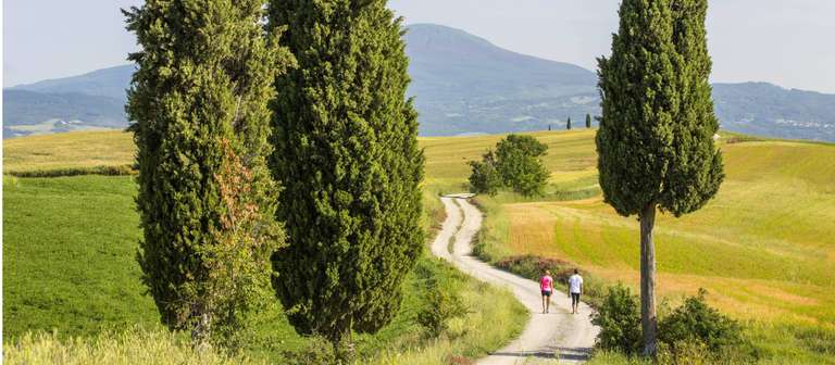 Via Francigena: Best of Tuscany trip - alternative tour available