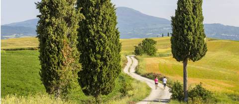 Via Francigena: Best Of Tuscany - Fall Tours