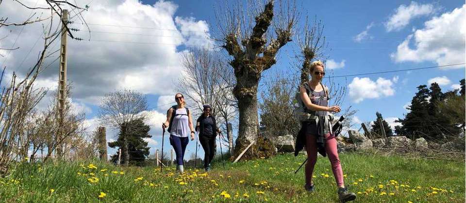 Via Francigena: Best of Tuscany - Utracks - Italy - Image 3