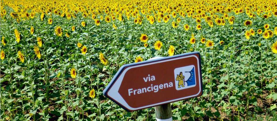 Via Francigena: Best of Tuscany - Utracks - Italy - Image 7