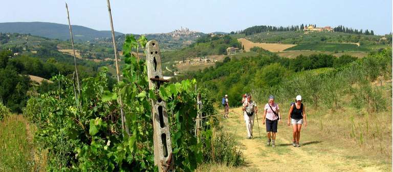 Via Francigena: Lucca to Siena trip - alternative tour available