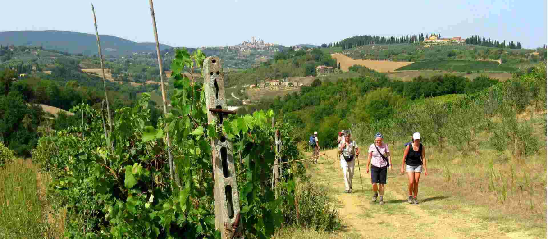 Via Francigena: Lucca to Siena