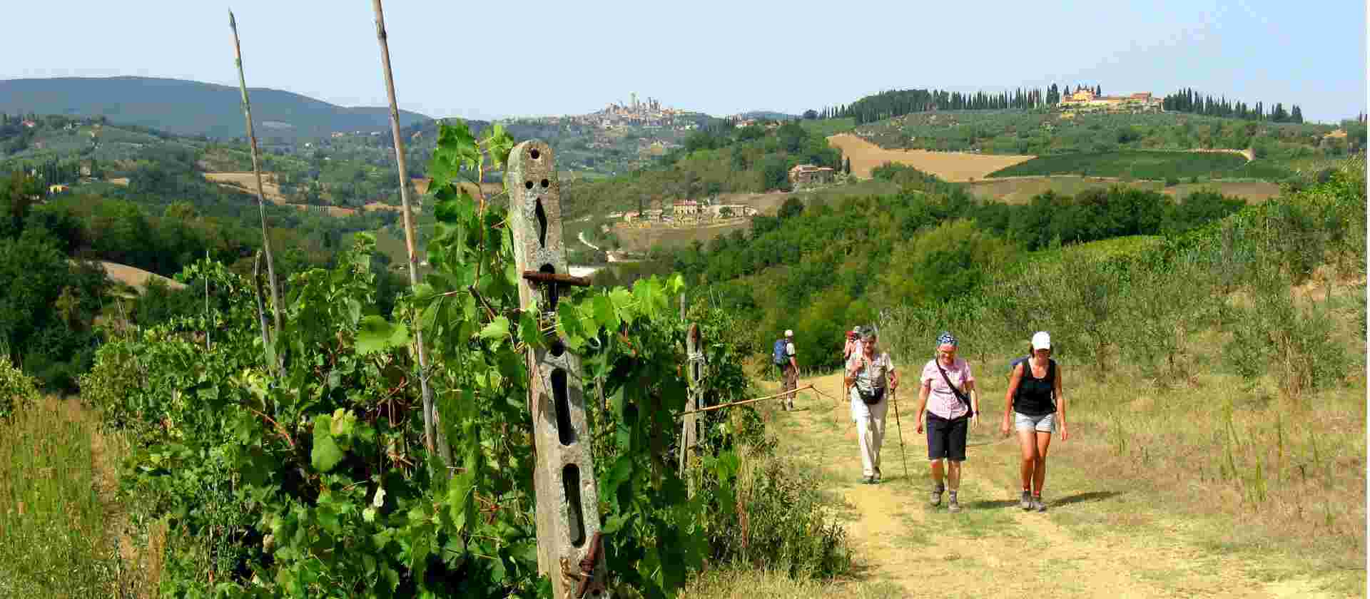 Via Francigena: Lucca to Siena