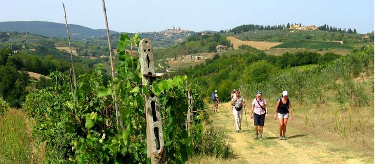 Italy Self Guided Tours: Via Francigena: Lucca to Siena