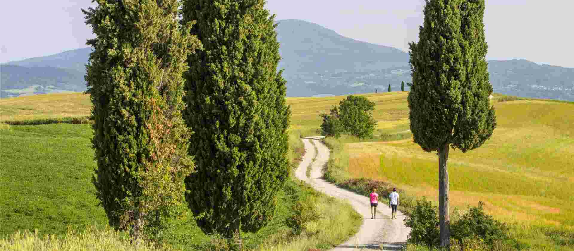 Via Francigena: Southern Tuscany from Siena
