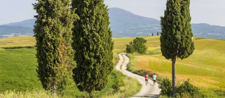 Via Francigena: Southern Tuscany from Siena trip - alternative tour available