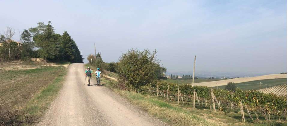 Via Francigena: Southern Tuscany from Siena - Utracks - Italy - Image 7