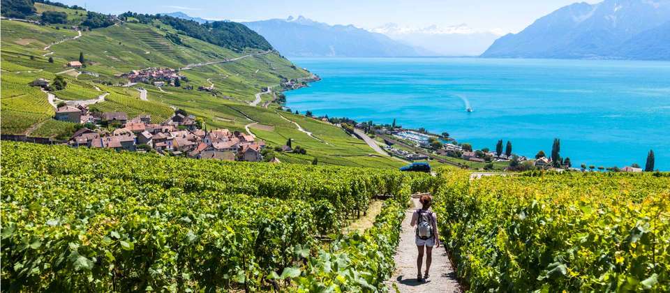 Via Francigena Switzerland: Lausanne to the Great St Bernard Pass - Utracks - Switzerland - Image 2