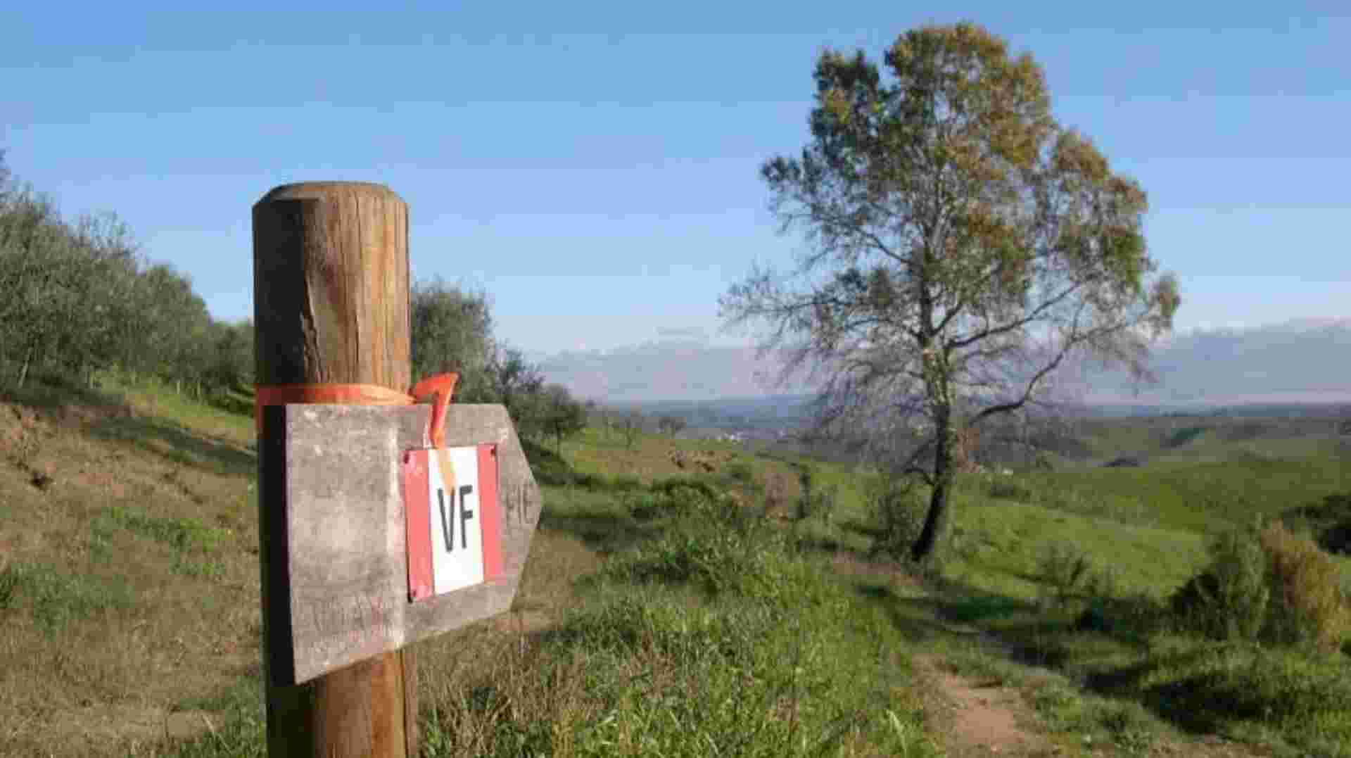 Via Francigena: Walk from Lucca to Siena