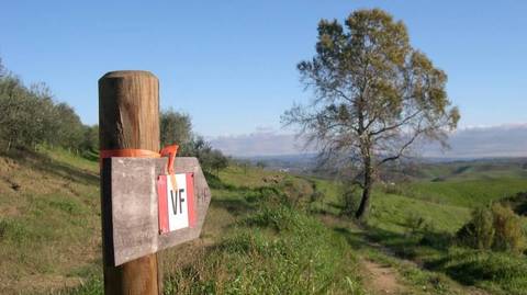Via Francigena: Walk From Lucca To Siena - August 2027