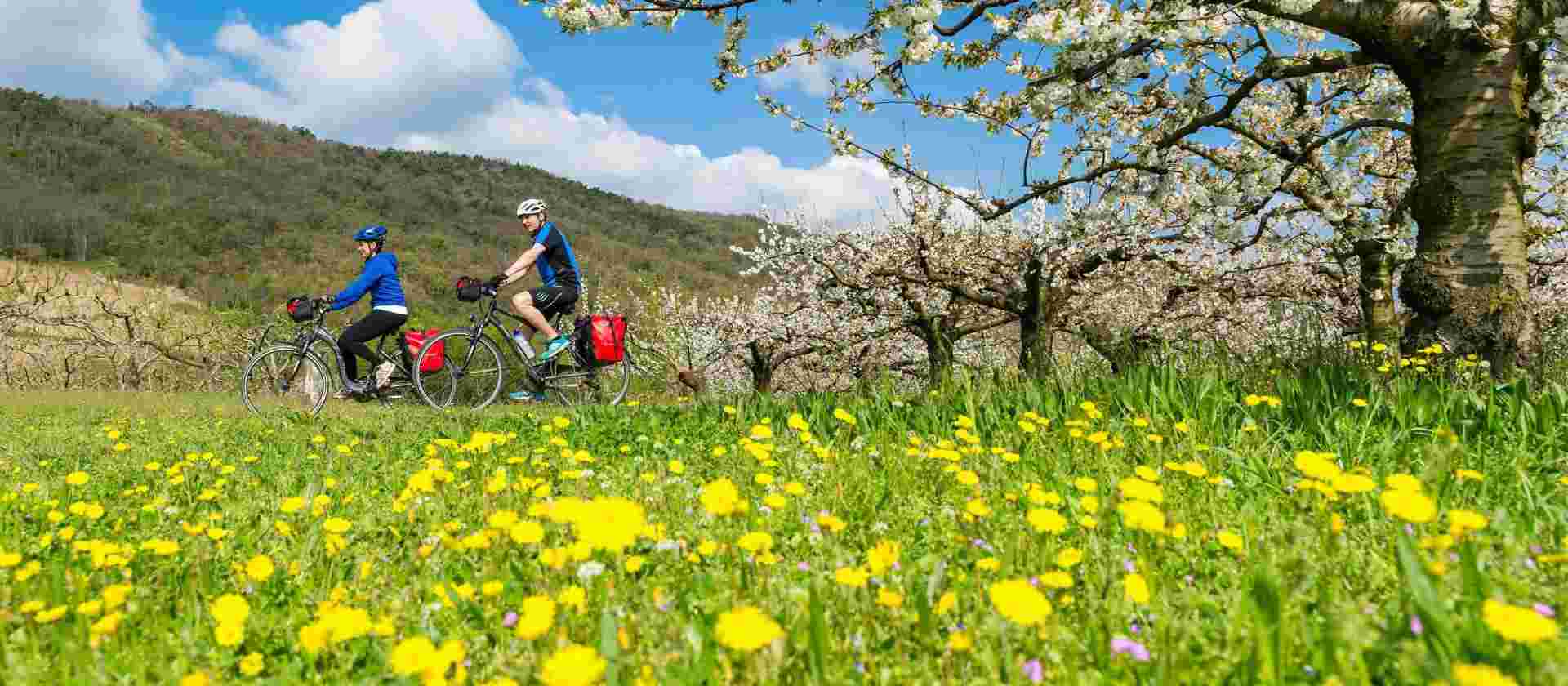 Via Rhôna Cycle Path: Lyon to Provence