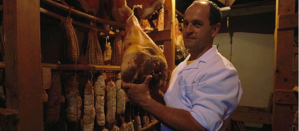 Via Rhôna Cycle Path: Lyon to Provence - Utracks - France