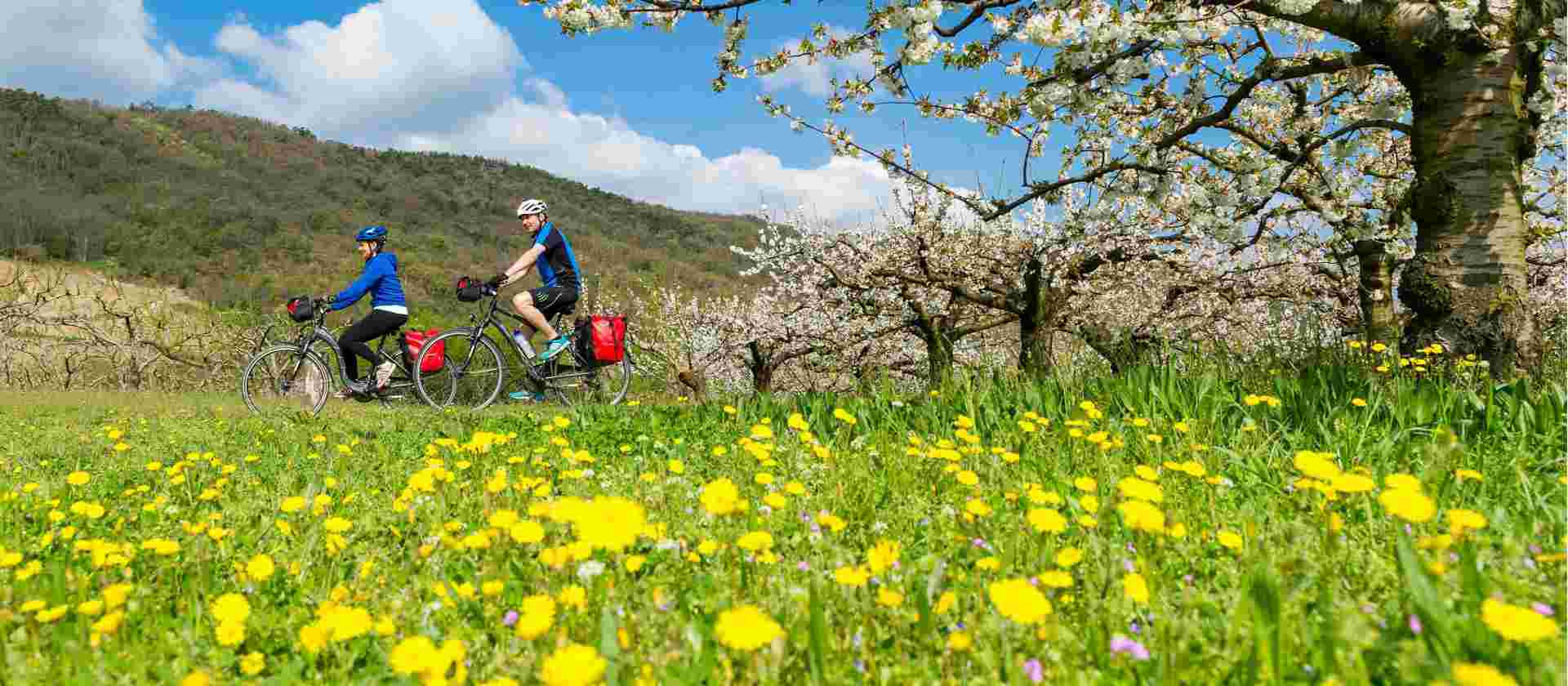 Via Rhôna Cycle Path: Lyon to Provence