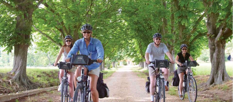 Via Rhôna Cycle Path: Lyon to Provence - Utracks - France - Image 6