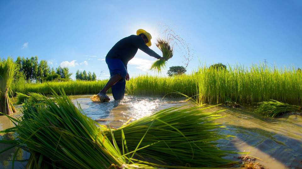 Vibrant Vietnam - Footsteps Indochina Travel - Vietnam - Image 7