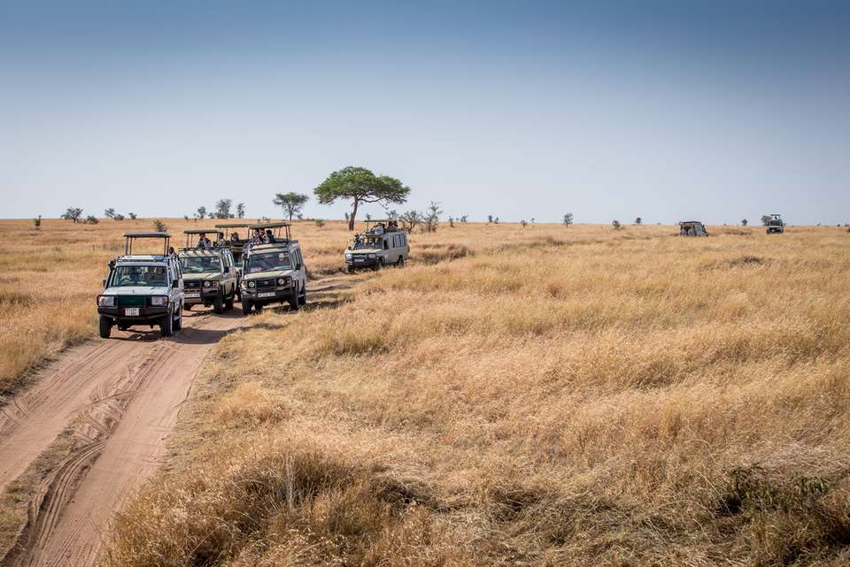 Vic Falls to Kenya - Intrepid Travel - Zimbabwe - Image 6