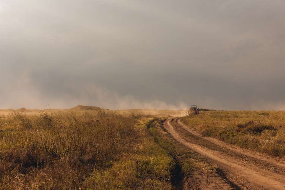 Vic Falls to Kenya - Intrepid Travel - Zimbabwe - Image 10