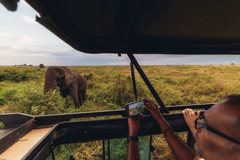Vic Falls to Kenya - Intrepid Travel - Zimbabwe - Image 15