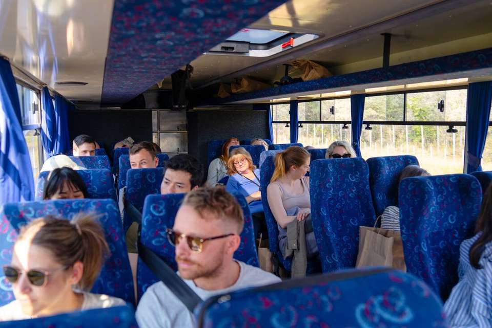 Vic Falls to Kruger - Intrepid Travel - Zimbabwe - Image 10