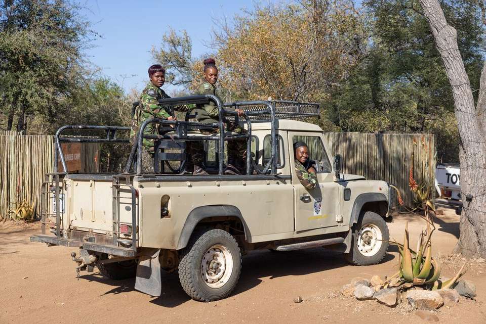 Vic Falls to Kruger - Intrepid Travel - Zimbabwe - Image 14