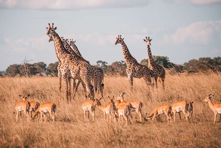 Vic Falls to Stone Town trip - alternative tour available
