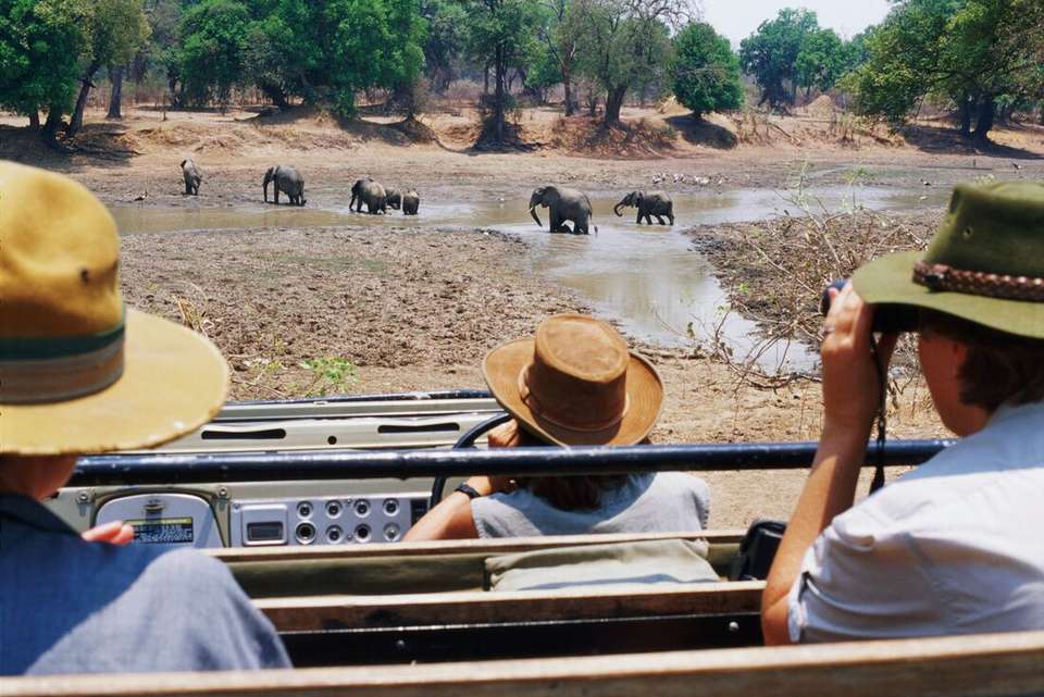 Victoria Falls to Stone Town - Intrepid Travel - Zimbabwe - Image 3