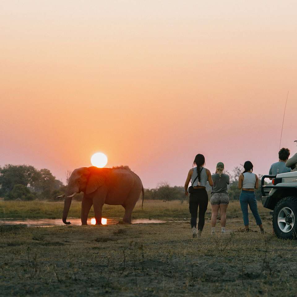 Victoria Falls and Botswana - Contiki - Zimbabwe - Image 5