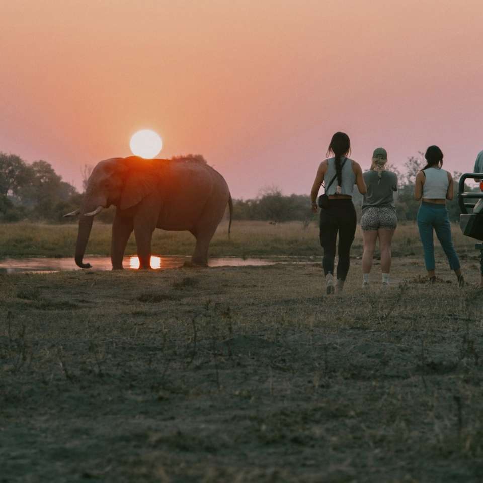 Victoria Falls and Botswana - Contiki - Zimbabwe - Image 5
