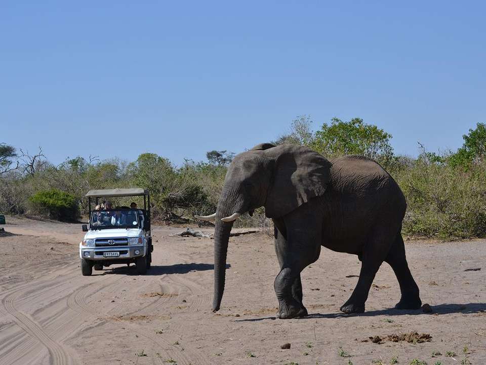 Victoria Falls & Chobe Adventure 4D/3N (from Livingstone) - Bamba - Zambia - Image 5