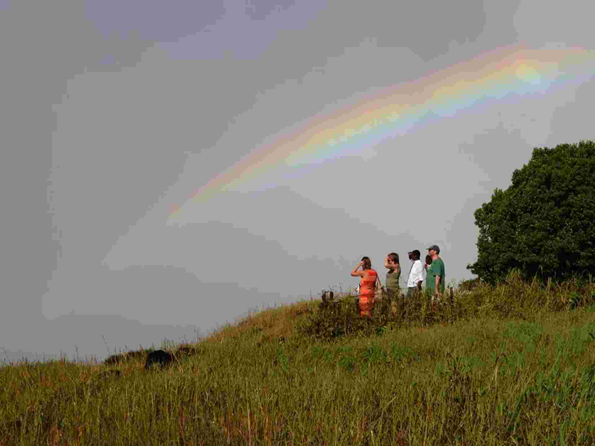 Victoria Falls & Chobe Adventure 4D/3N (from Victoria Falls)
