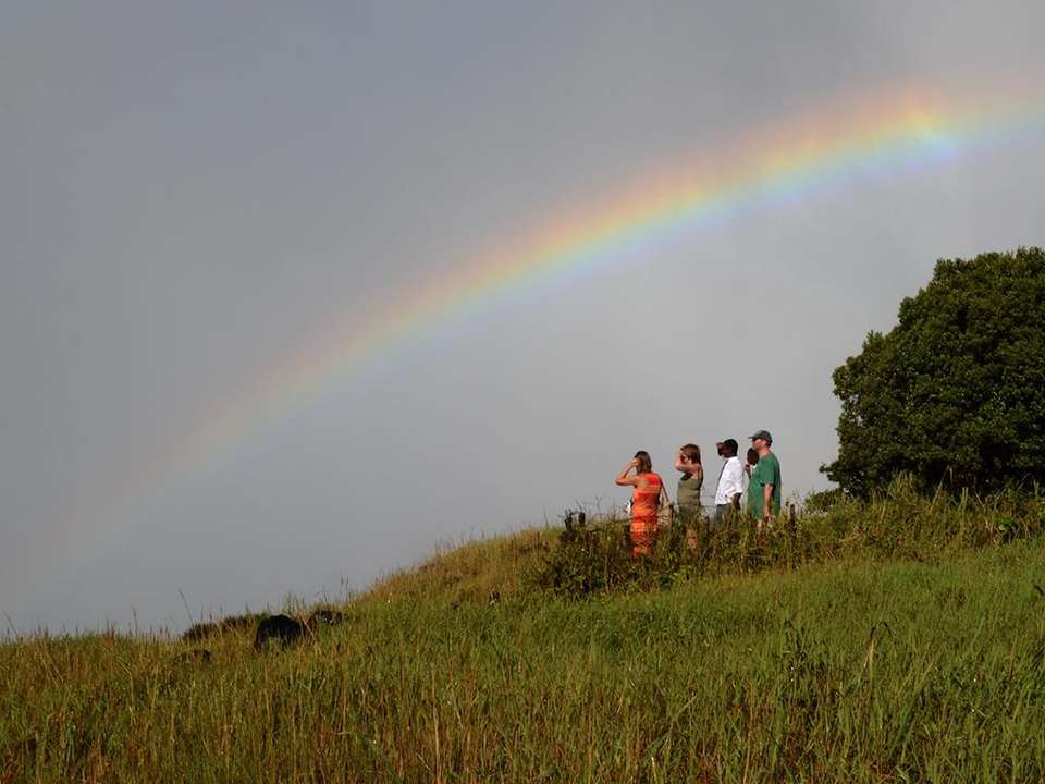 Victoria Falls & Chobe Adventure 4D/3N (from Victoria Falls) - Bamba - Zimbabwe - Image 1