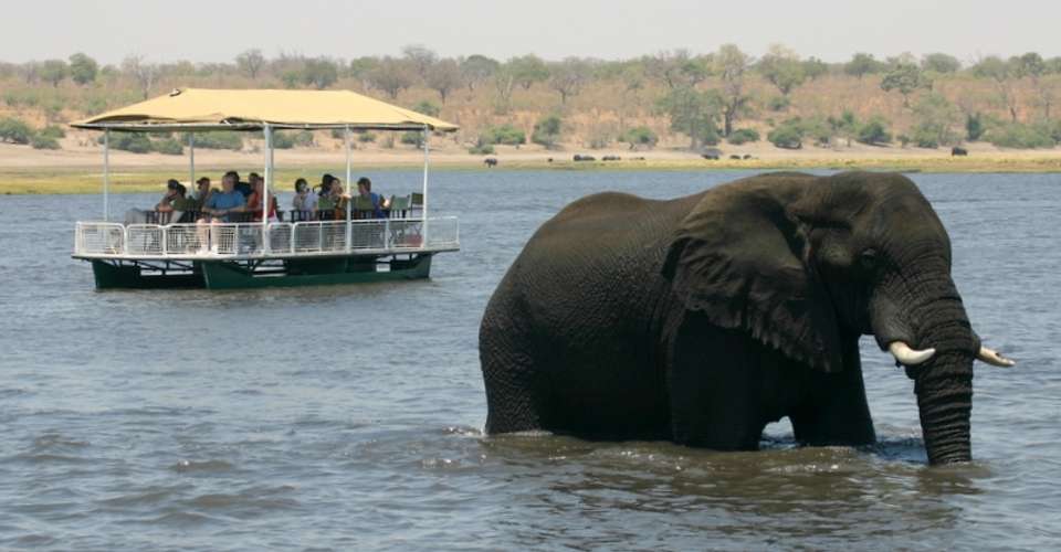 Victoria Falls & Chobe National Park 4 D/ 3 N Package - Dk Tours & Safaris - Zimbabwe - Image 7