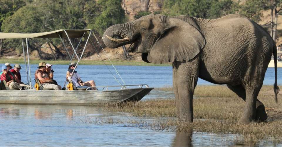 Victoria Falls & Chobe National Park 4 D/ 3 N Package - Dk Tours & Safaris - Zimbabwe - Image 8